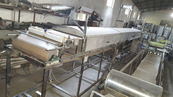 全自動米皮機 現代化生產設備的革新與應用